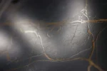 Gresie interior Mountain Stone, 60 x 120 cm, negru, mat - imagine 4